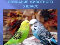 ОПИСАНИЕ ЖИВОТНОГО 5 класс