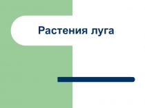 Растения луга