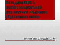 Методика CEUS в дифференциальной диагностике объёмного образования почки