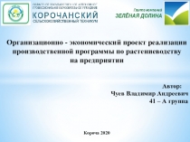 Организационно - экономический проект реализации производственной программы по