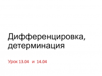 Дифференцировка, детерминация