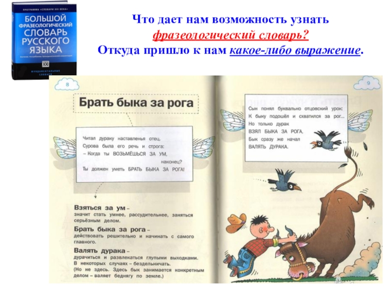 О чем можно узнать во фразеологическом. Словарь фразеологизмов. Фразеологический словарь. Книга фразеологизмов для детей. Словарь фразеологизмов с иллюстрациями.