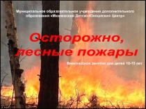 Муниципальное образовательное учреждение дополнительного образования