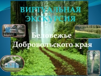 ВИРТУАЛЬНАЯ ЭКСКУРСИЯ
Беловежье
Добровольского края