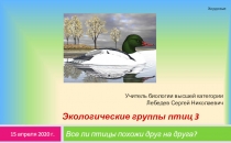 Экологические группы птиц 3