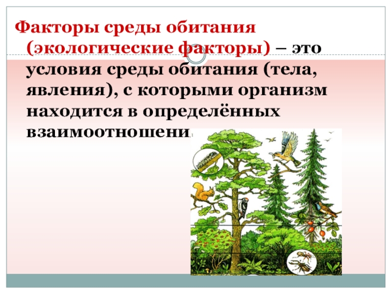 На рисунке представлены примеры факторов среды