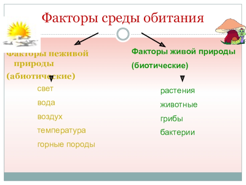 Виды факторов живой природы