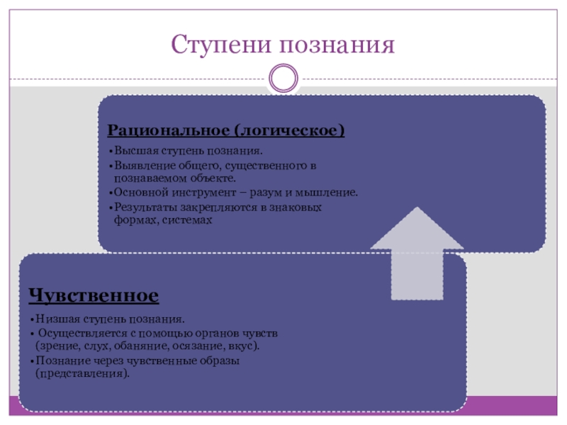 Познание осуществляется. Ступени познания. Познание ступени познания. Основные ступени познания. Ступени познания Платона.