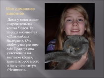 Мое домашнее животное