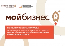 НЕРУШАЙ СВЕТЛАНА ИВАНОВНА председатель комитета по развитию малого, среднего