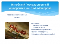 Витебский Государственный университет им. П.М. Машерова