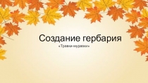 Создание гербария