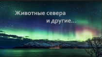Животные с евера
и другие…
