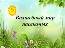 Волшебный мир насекомых