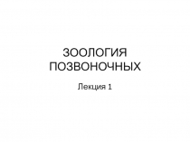 ЗООЛОГИЯ ПОЗВОНОЧНЫХ