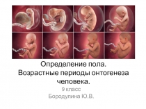 Определение пола. Возрастные периоды онтогенеза человека