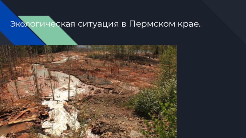 Экол огическая ситуация в Пермском крае