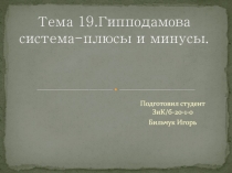 Тема 19. Гипподамова система-плюсы и минусы