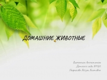 ДОМАШНИЕ ЖИВОТНЫЕ