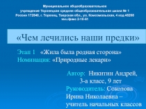Чем лечились наши предки