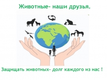 Животные- наши друзья