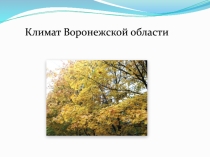 Климат Воронежской области