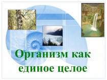Организм как единое целое