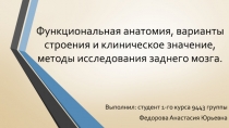 Функциональная анатомия, варианты строения и клиническое значение, методы