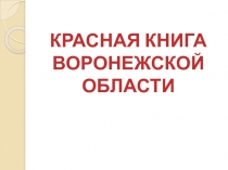 Работа над проектом
