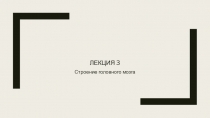 Лекция 3
