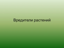 Вредители растений