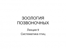 ЗООЛОГИЯ ПОЗВОНОЧНЫХ