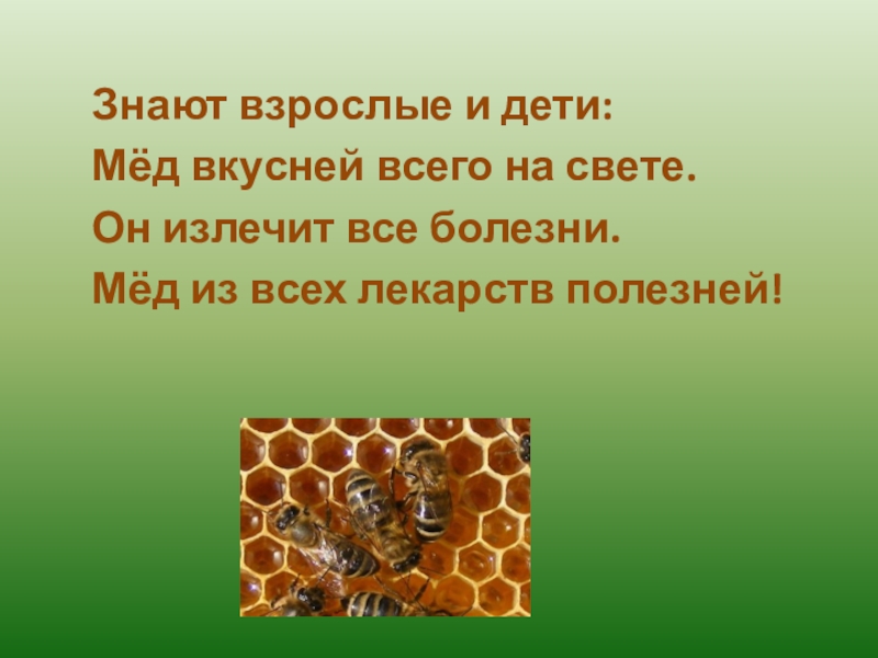 Медовый 4 буквы. Маленький проект про мед. Дошкольникам про мед. Мед для презентации. Мед презентация для детей.