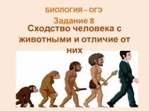 Сходство человека с животными и отличие от них