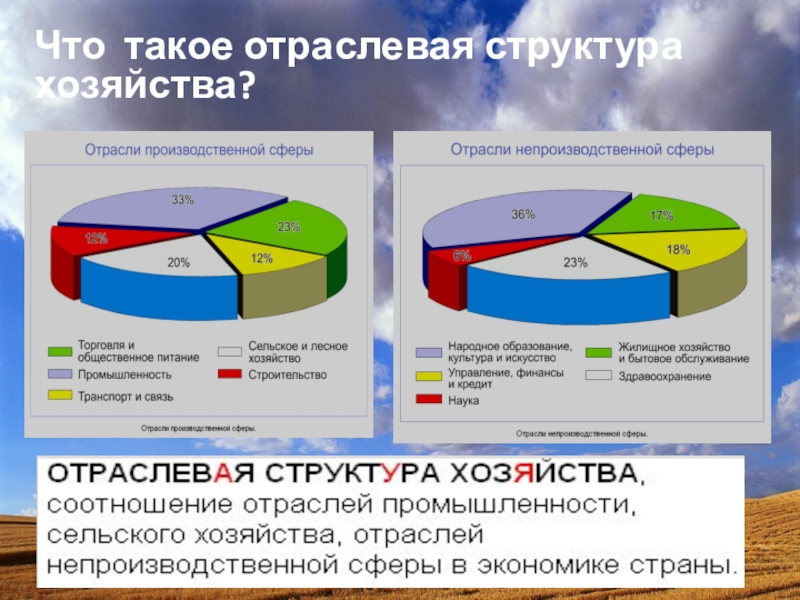 Диаграмма отраслевой структуры хозяйства центральной россии