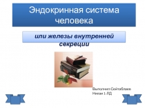 Эндокринная система человека