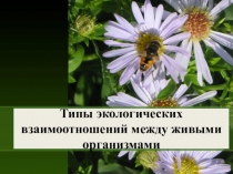 Типы экологических взаимоотношений между живыми организмами