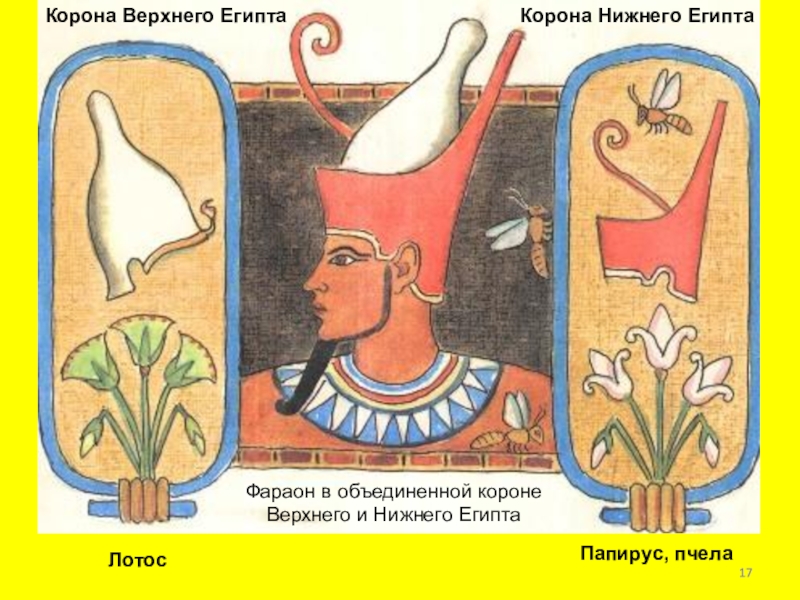 Корона Нижнего ЕгиптаКорона Верхнего ЕгиптаПапирус, пчелаЛотосФараон в объединенной короне Верхнего и Нижнего Египта