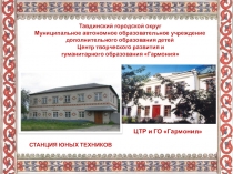 Тавдинский городской округ Муниципальное автономное образовательное учреждение