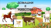 ДОМАШНИЕ
ЖИВОТНЫЕ
Материал для дополнительных занятий по развитию речи
с детьми