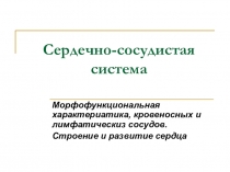 Сердечно-сосудистая система