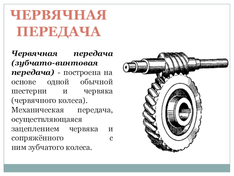 Передаточное отношение червяка. Цилиндрическая червячная передача схема. Тип редуктора червячный механизм. Угол зубчатого колеса червячной передачи. Червячная Главная передача схема.