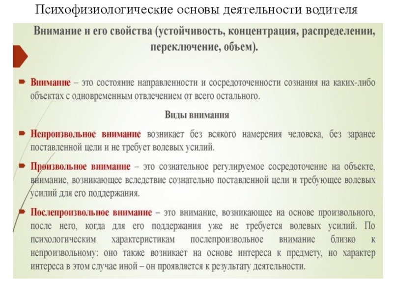 Психофизиологические основы деятельности водителя лекции с презентацией