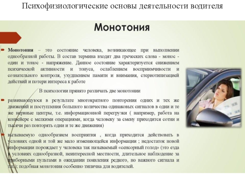 Психофизиологические основы деятельности водителя лекции с презентацией