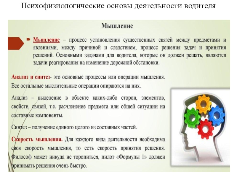 Психофизиологические основы деятельности водителя лекции с презентацией