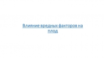 попытка 2