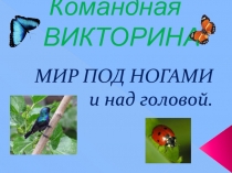 Командная ВИКТОРИНА