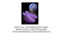 Лекция 5