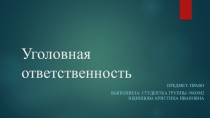 Уголовная ответственность