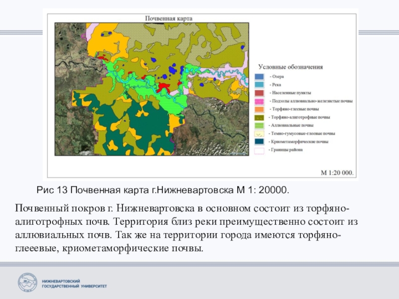 Почвенная карта дает информацию